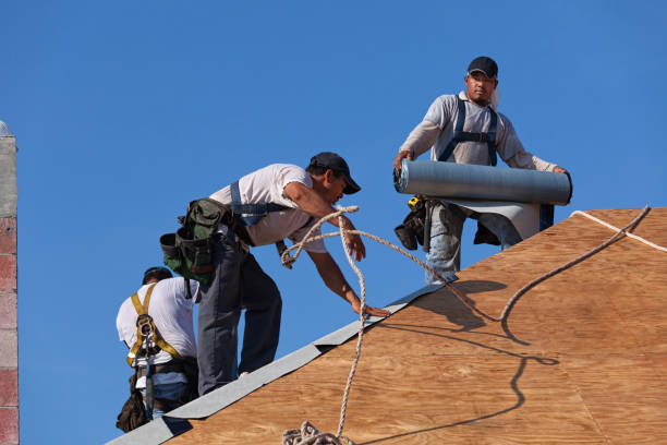 Best Storm Damage Roof Repair  in Eddystone, PA